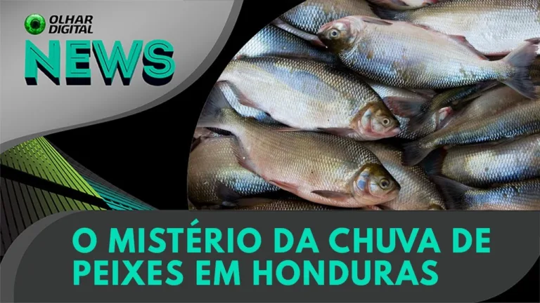 Ao Vivo | O mistério da chuva de peixes em Honduras | 16/05/2023 | #OlharDigital