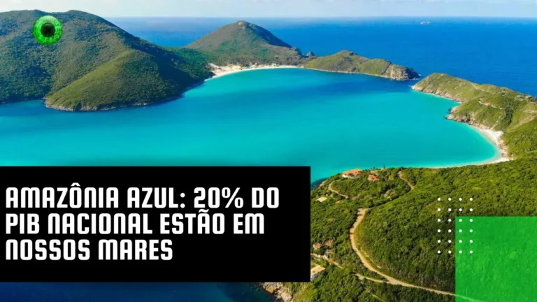 Amazônia Azul: 20% do PIB nacional estão em nossos mares