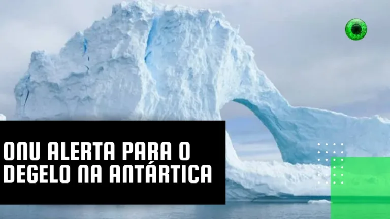 ONU alerta para o degelo na Antártica