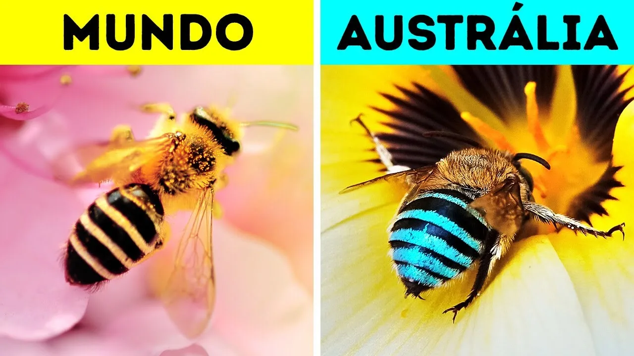 Rastejantes assustadores que são realmente legais