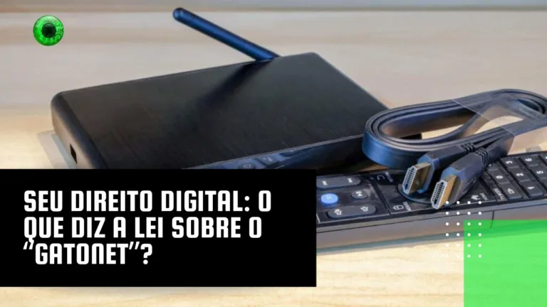 Seu Direito Digital: o que diz a lei sobre o “gatonet”?