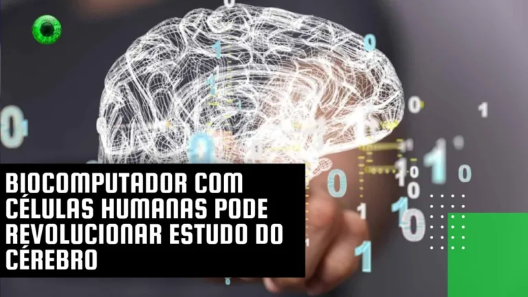 Biocomputador com células humanas pode revolucionar estudo do cérebro