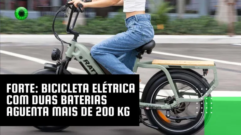 Forte: bicicleta elétrica com duas baterias aguenta mais de 200 kg