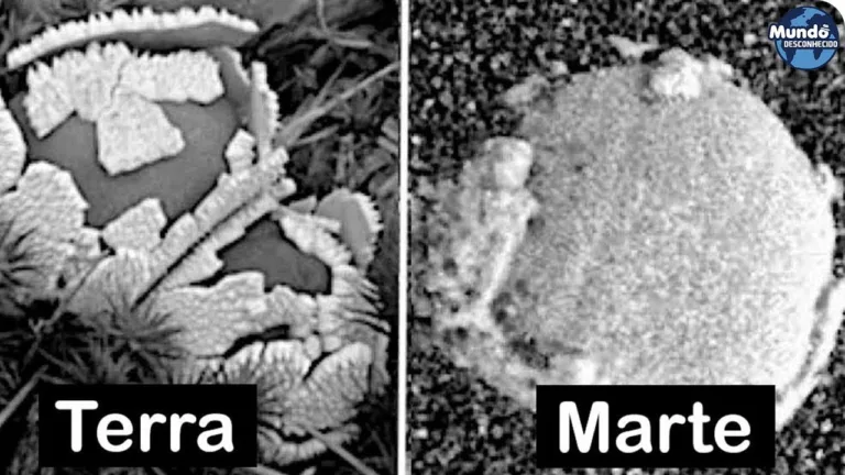 Fotos da NASA provam que há vida em Marte, afirmam cientistas
