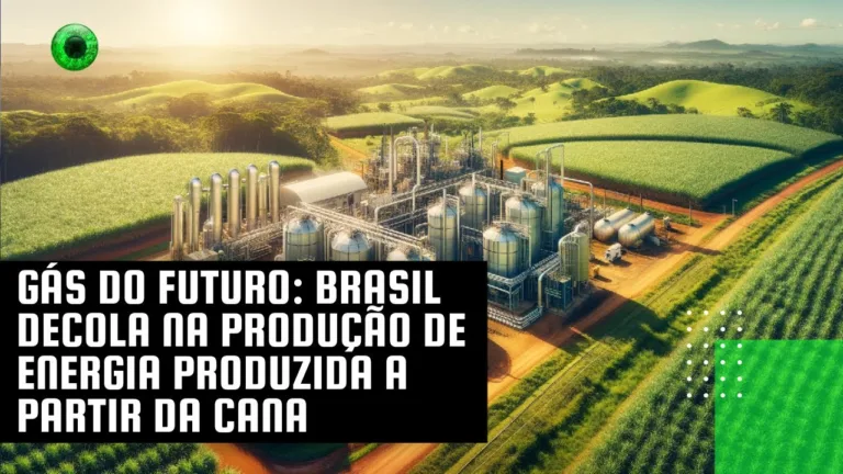 Gás do futuro: Brasil decola na produção de energia produzida a partir da cana