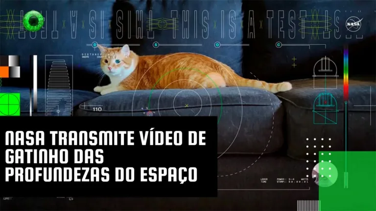 NASA transmite vídeo de gatinho das profundezas do espaço