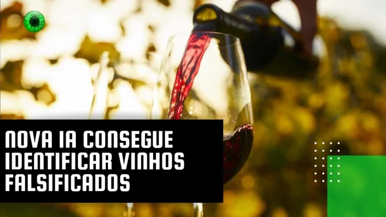 Nova IA consegue identificar vinhos falsificados