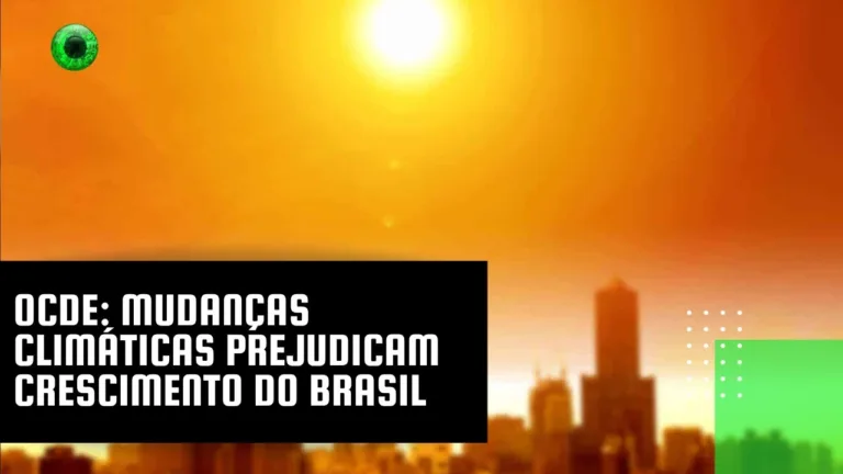 OCDE: mudanças climáticas prejudicam crescimento do Brasil