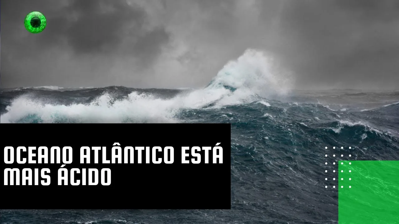 Oceano Atlântico está mais ácido