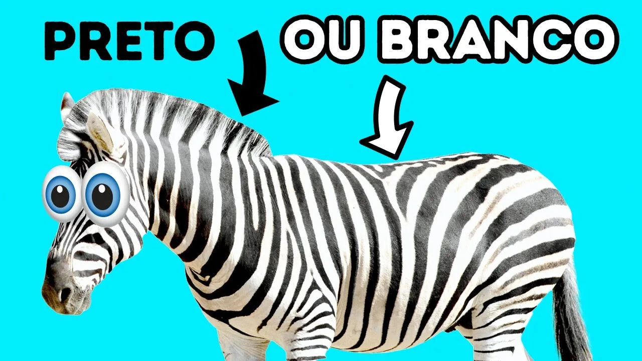 Mais de 100 fatos sobre animais extremamente interessantes que você nunca ouviu antes