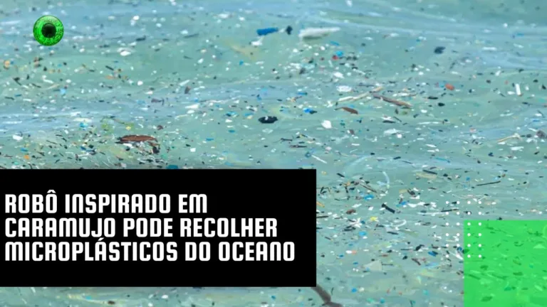 Robô inspirado em caramujo pode recolher microplásticos do oceano