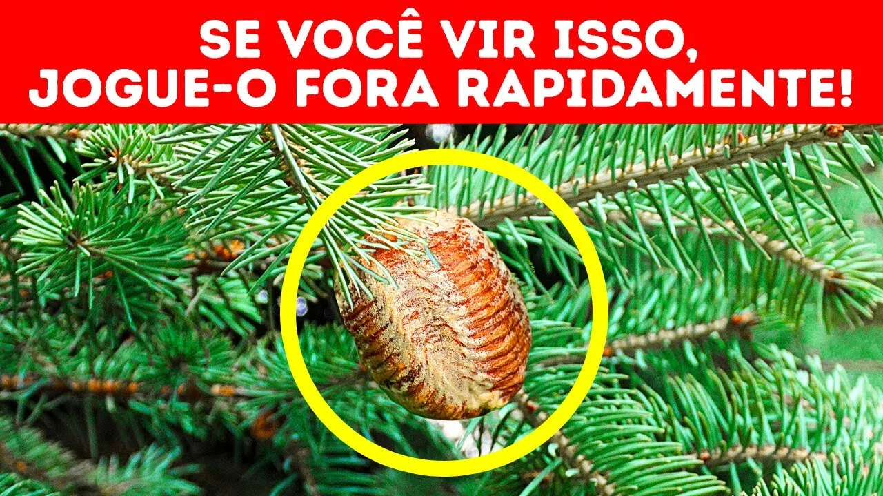 Se você vir isso em sua árvore de Natal, não toque nela + outros avisos