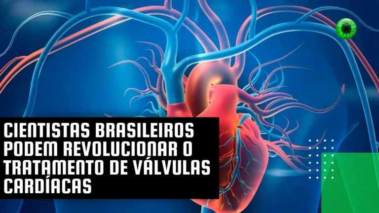 Cientistas brasileiros podem revolucionar o tratamento de válvulas cardíacas