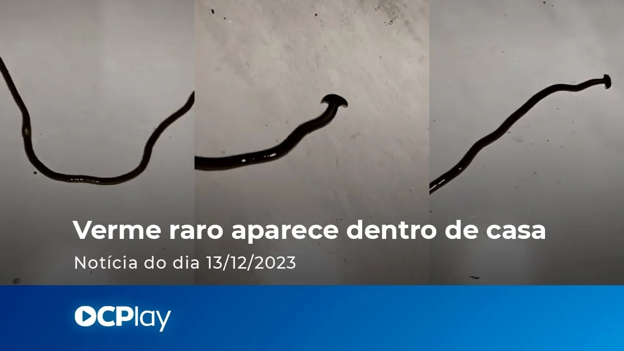 Verme raro aparece dentro de casa