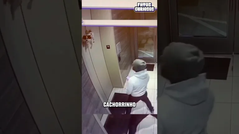 HOMEM SALVA CACHORRINHO PRESO NO ELEVADOR 🥹❤️ #short #shorts #viral #shortvideo #shortsvideo