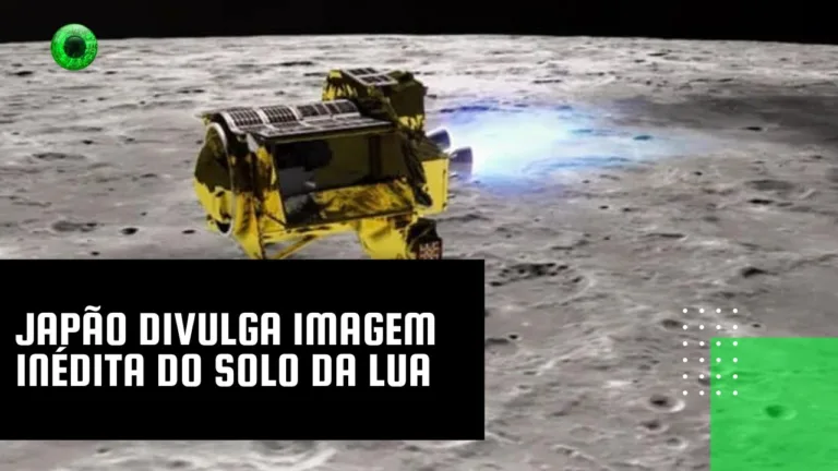 Japão divulga imagem inédita do solo da Lua