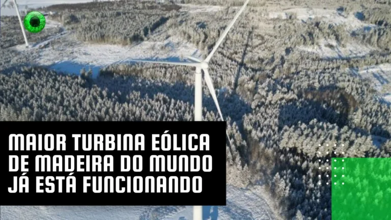 Maior turbina eólica de madeira do mundo já está funcionando