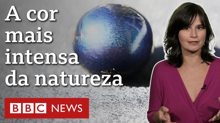 O ‘truque’ da natureza para criar cores intensas e incríveis