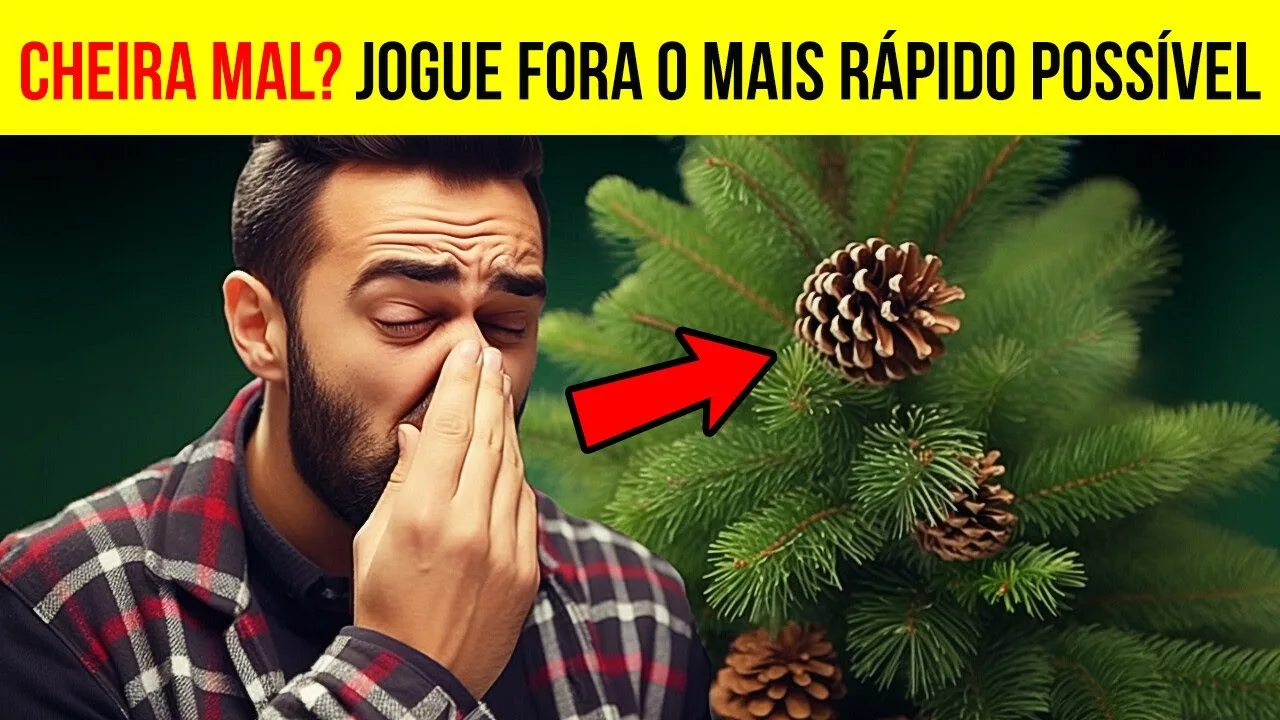 Se sua árvore de Natal tem um cheiro ruim, eis o motivo