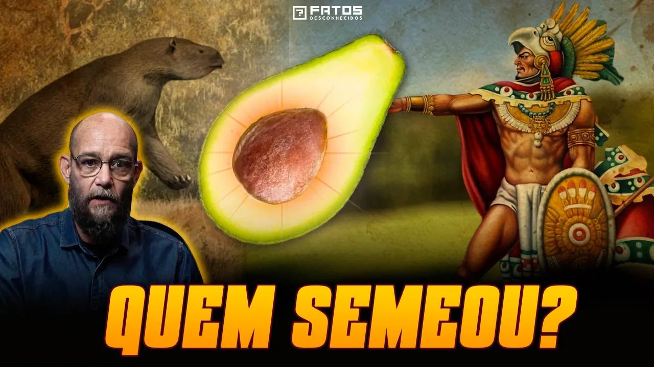 Todo mundo estava errado sobre abacates - inclusive nós*