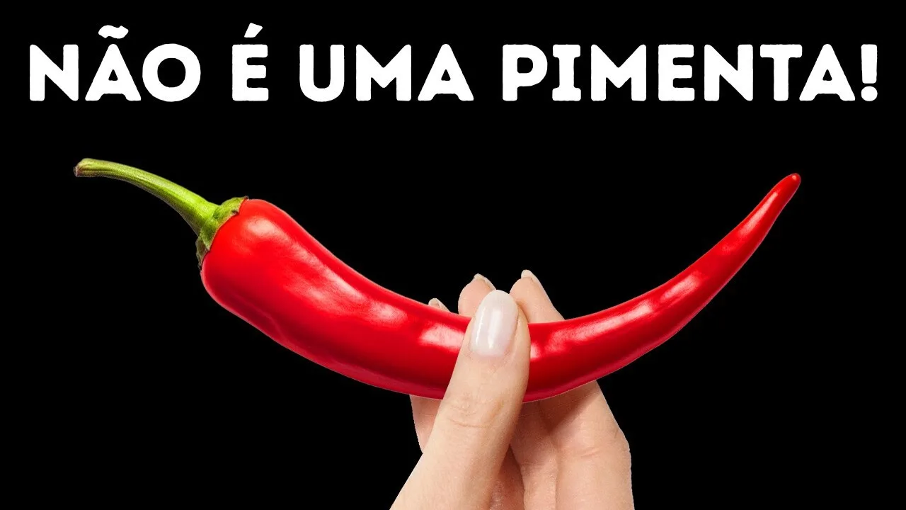 Você estava errado sobre especiarias: Fatos reais sobre o sabor