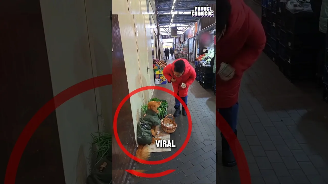 ESSE CACHORRINHO ESTAVA VENDENDO VERDURAS PARA AJUDAR SUA DONA 🥹❤️ #short #shorts #viral #shortvideo