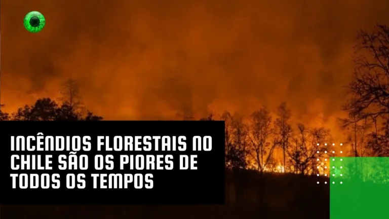 Incêndios florestais no Chile são os piores de todos os tempos