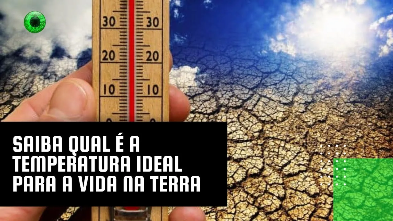 Saiba qual é a temperatura ideal para a vida na Terra