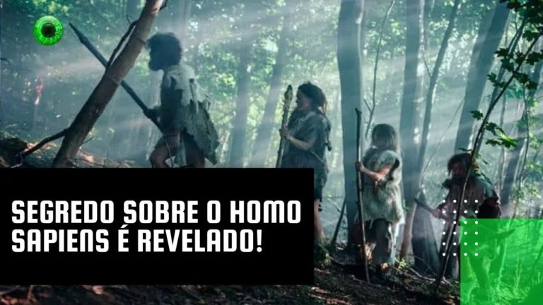 Segredo sobre o Homo sapiens é revelado!