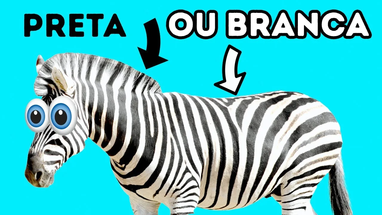 Zebras São Na Verdade Pretas + 70 Fatos Estranhos Sobre Animais