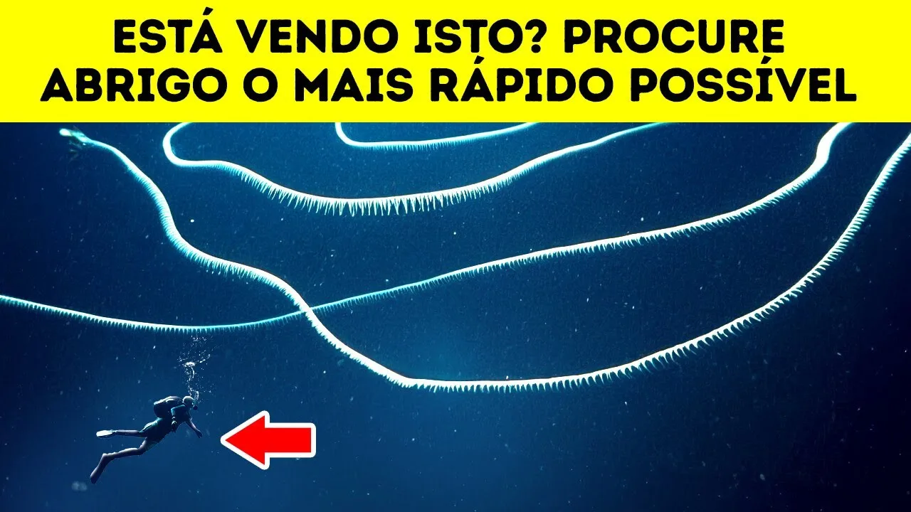 7 Criaturas Bizarras Que a Ciência Acaba de Descobrir