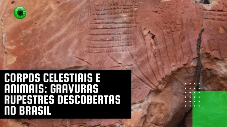 Corpos celestiais e animais: gravuras rupestres descobertas no Brasil