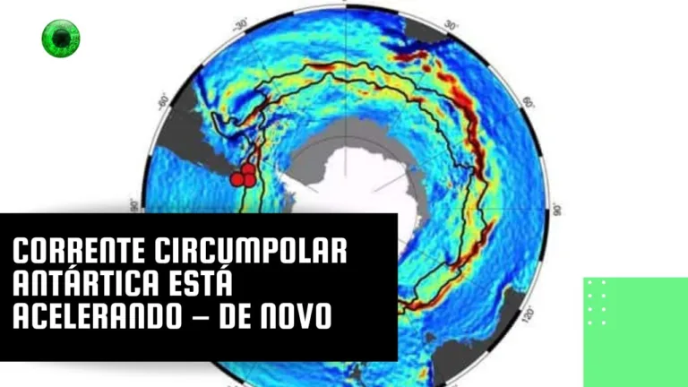 Corrente Circumpolar Antártica está acelerando – de novo