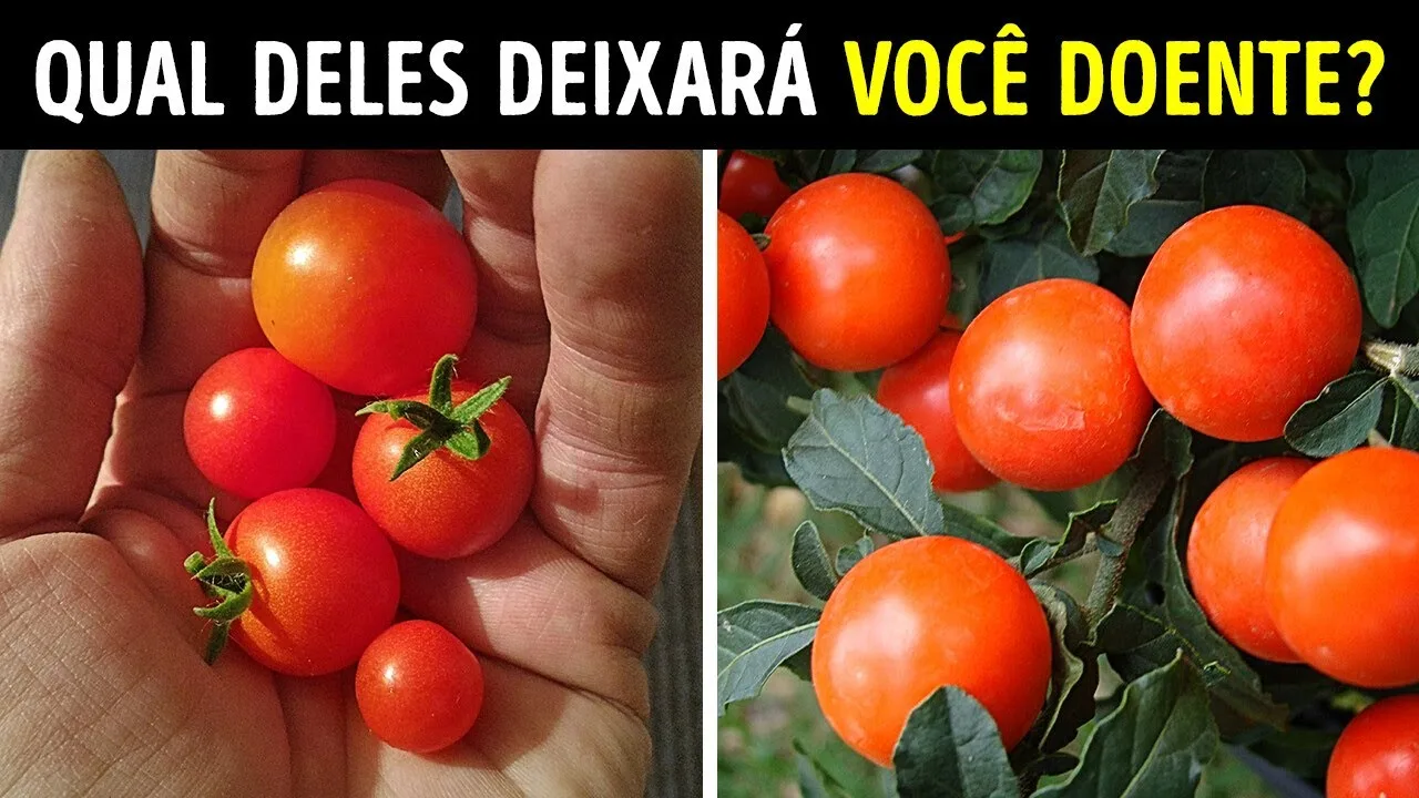 Estas Plantas São Mestres de Jogos de Horror! Não Coma!