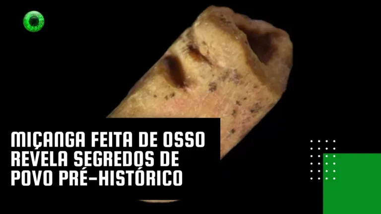 Miçanga feita de osso revela segredos de povo pré-histórico