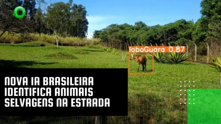 Nova IA brasileira identifica animais selvagens na estrada