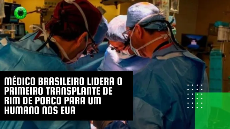 Médico brasileiro lidera o primeiro transplante de rim de porco para um humano nos EUA