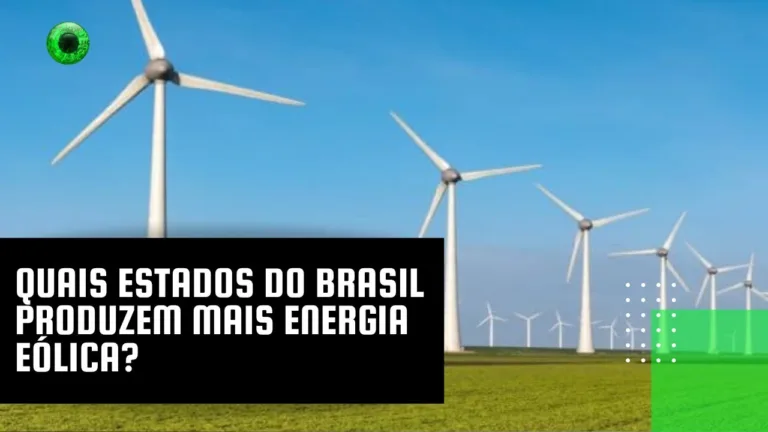 Quais estados do Brasil produzem mais energia eólica?