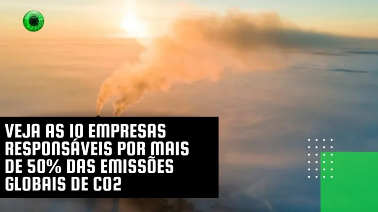 Veja as 10 empresas responsáveis por mais de 50% das emissões globais de CO2
