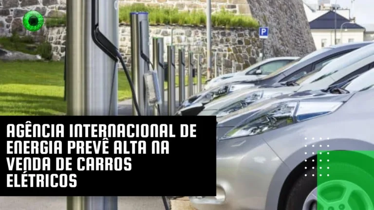 Agência Internacional de Energia prevê alta na venda de carros elétricos