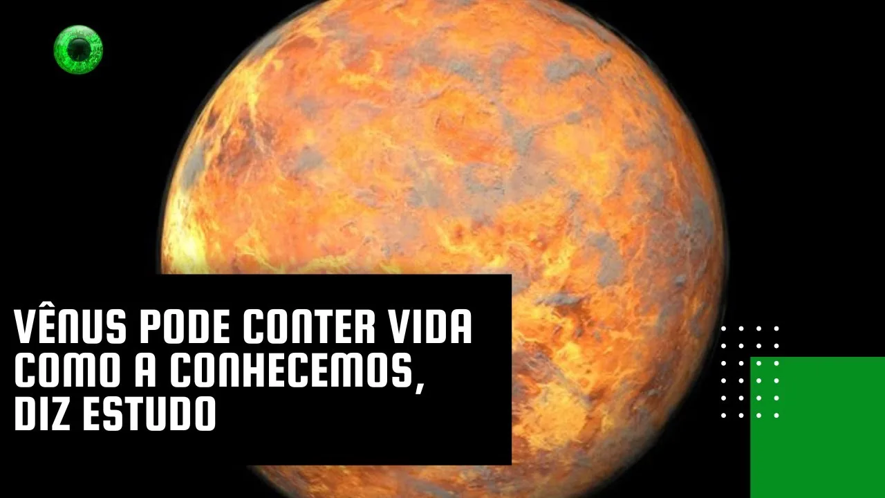 Vênus pode conter vida como a conhecemos, diz estudo
