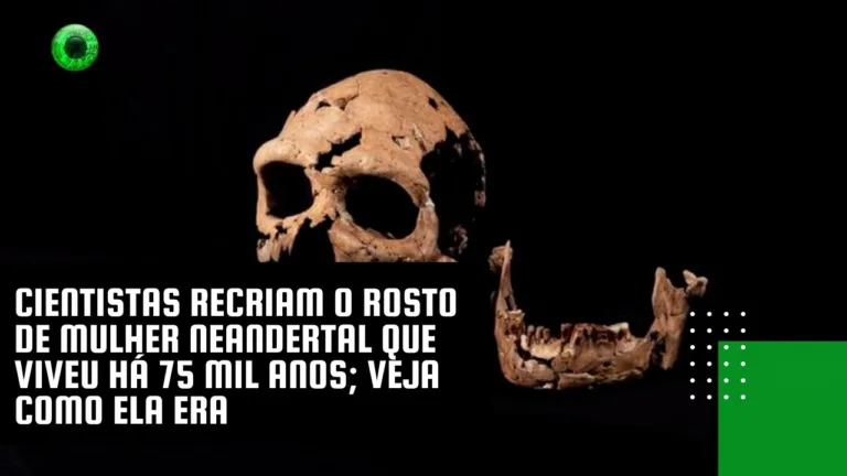 Cientistas recriam o rosto de mulher neandertal que viveu há 75 mil anos; veja como ela era