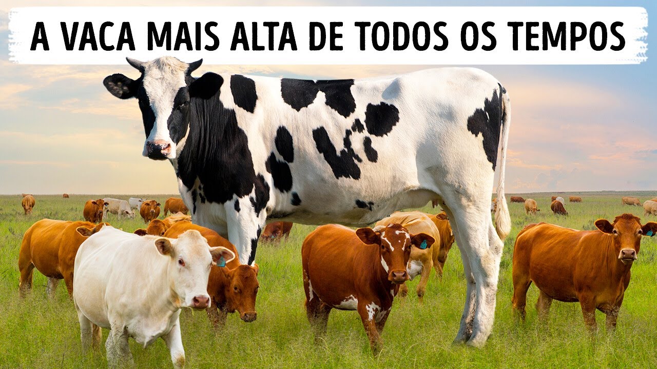 Alguns Animais Anormalmente Grandes em Todo o Mundo