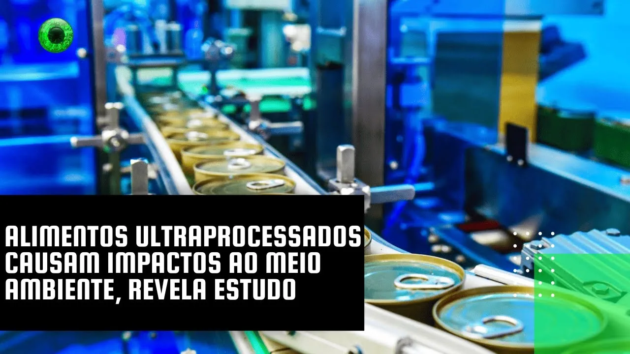 Alimentos ultraprocessados causam impactos ao meio ambiente, revela estudo