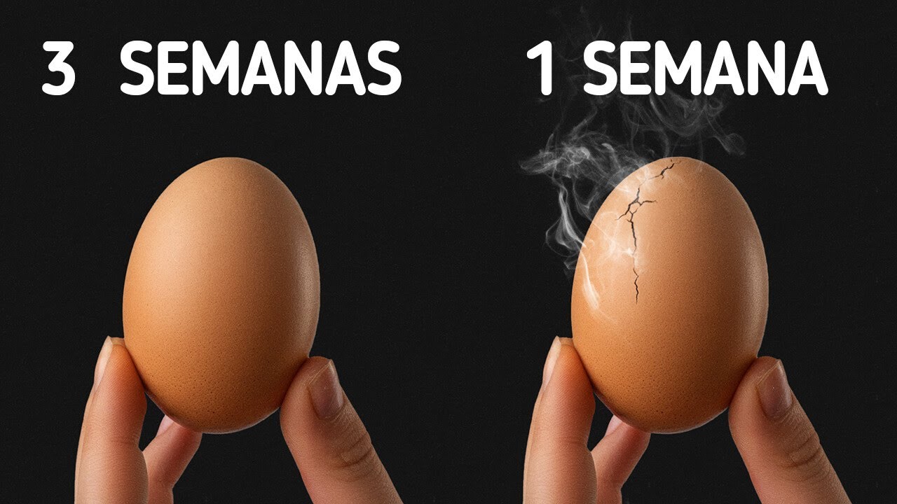 Segredos culinários que o ajudarão a cozinhar como um chefe
