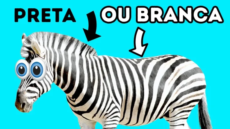 Zebras São Na Verdade Pretas + 17 Fatos Estranhos Sobre Animais