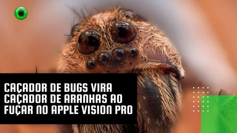 Caçador de bugs vira caçador de aranhas ao fuçar no Apple Vision Pro