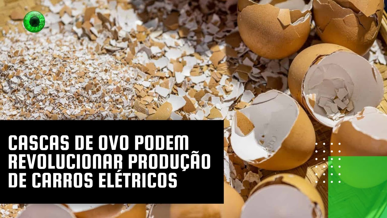 Cascas de ovo podem revolucionar produção de carros elétricos