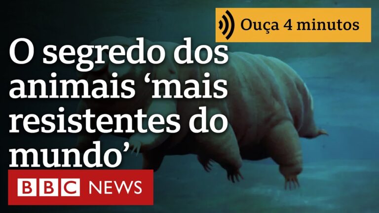 O segredo que torna ‘indestrutível’ um dos animais mais resistentes que existem