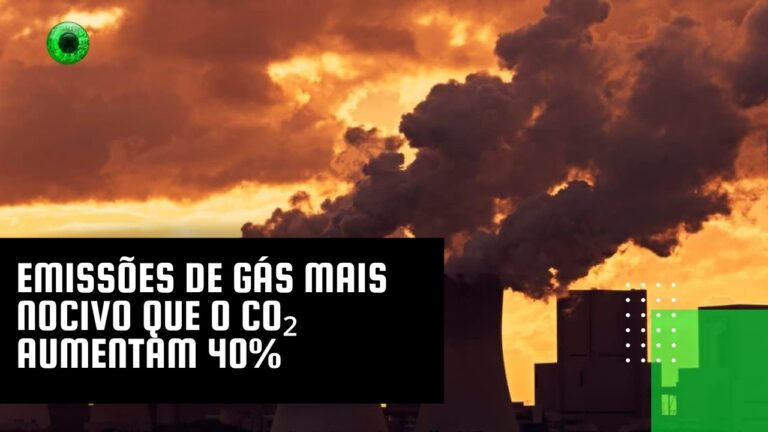 Emissões de gás mais nocivo que o CO₂ aumentam 40%